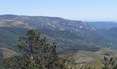 Randonnée Marche Pont de Montvert - Sud Mont Lozère - Signal du Ventalon - Photo 4