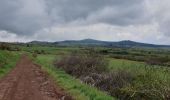 Randonnée Marche Le Puy-en-Velay - [01] Compostelle : du Puy-en-Velay à Saint-Privat-d'Allier - Photo 14