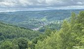 Trail Walking Rendeux - Marcouray - Photo 14