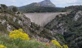 Excursión Senderismo Le Tholonet - le tour des trois barrages - Photo 14