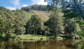 Randonnée Marche Houffalize - tour du lac des 2 ourthes - barrage de Nisramont  - Photo 16