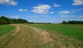 Trail Walking Saint-Ouen-les-Vignes - Saint-Ouen-les-Vignes - Pocé-sur-Cisse 460 - 23.9km 460m 5h40 - 2022 05 29 - Photo 5