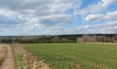 Tour Wandern Büllingen - Enkelbergermühle - Photo 1