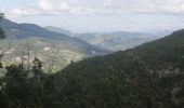 Tocht Stappen Mévouillon - la montagne de croc et bouvrèges - Photo 2