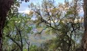 Trail Walking Millau - pouncho d'Agast - Photo 5