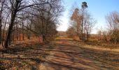 Randonnée Marche Retheuil - en forêt de Retz_76_dans les forêts de Retz et de Compiègne - Photo 9