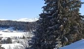 Tour Schneeschuhwandern La Pesse - L'Embossieux-La Croix des couloirs-La Pesse - Photo 4