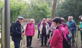 Tour Wandern Schlettstadt - Rando Lerchenberg  Selest6 - Photo 1