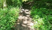 Trail Walking Saint-Amand-les-Eaux - terril vicoigne - Photo 6