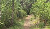 Tour Wandern La Malène - Le roc des Hourtous et roc du Serre - Photo 4