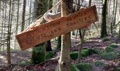 Tour Wandern Stoßweier - Saegmatt Cascade de Stolz Ablass Frankenthal - Photo 5