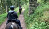 Trail Horseback riding Bertrimoutier - Restaurant belle vue col de sainte marie Tivio  - Photo 6