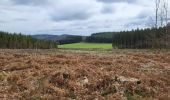 Tocht Stappen Bouillon - Cornimont 100324 - Photo 2