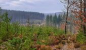 Tour Wandern Gedinne - Balade à la Croix-Scaille - Les Fanges de l'Abîme - Photo 3