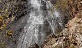 Trail Walking Lepuix - Ballon d'Alsace - cascade et lac d'Alfeld - Photo 13