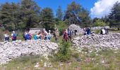 Trail Walking Caussols - caussols - Photo 1