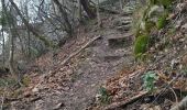 Trail Walking Saint-Quentin-sur-Isère - 38 carrières echaillon - Photo 5