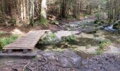 Tour Wandern Stoßweier - Saegmatt Cascade de Stolz Ablass Frankenthal - Photo 2