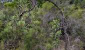 Randonnée Marche Roquebrune-sur-Argens - Sur la piste des trois communes - Photo 13