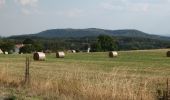 Randonnée A pied Kokašice - NS Ovčí vrch - Photo 6