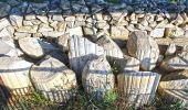 Percorso A piedi Ameglia - Anfiteatro Di Luni – Tenuta di Marinella – Fiumaretta - Photo 6