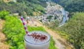 Percorso Marcia Vianden - Vianden : Télésiège & Château  - Photo 8