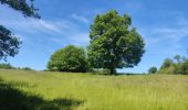 Trail Walking Champier - Les etangs - Photo 2