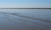 Tour Zu Fuß Rochford - The Broomway - Photo 8