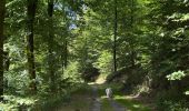Trail Walking Chiny - Chiny version courte - Photo 1