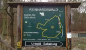 Trail On foot Gutsbezirk Reinhardswald - Rundweg Urwald Sababurg rot - Photo 8
