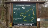 Randonnée A pied Gutsbezirk Reinhardswald - Rundweg Urwald Sababurg rot - Photo 8