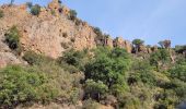 Tour Wandern Saint-Raphaël - la dent de l'ours Esterel - Photo 2