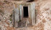 Randonnée Marche Lepuix - Giromagny - sentier des mines - 2 à visiter - Photo 12