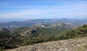 Trail Walking Plan-d'Aups-Sainte-Baume - Tour Cauvin, dents de Roche Forcade, grotte de la Grande Baume - Photo 8