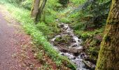 Excursión Marcha nórdica La Bourboule - la Bourboule banne dordanche  - Photo 8