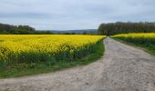 Randonnée Marche Andenne - Maizeret 120424  - Photo 17