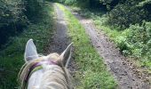 Trail Horseback riding Saint-Martin - Petit tour autour de la maison Vispa  - Photo 1