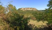 Tocht Stappen Barjac - LeChemin des Ecoliers - Photo 9