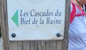 Tour Wandern Les Planches-en-Montagne - la languette  - Photo 12