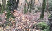 Trail Walking Trois-Ponts - brume 2 - Photo 2