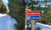 Trail Touring skiing Saint-Front - 2022 01 RANDONNÉE EN MÉZENC : descente vers Estaples puis La Croix Pecata, roche pointu, les dents du diable, traversée du Lignon. - Photo 15