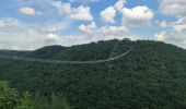 Tour Wandern Altstrimmig - A la découverte du pont de Geierlay - Photo 6