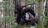 Tour Wandern Arith - Col de la couchette en boucle avec passage au refuge - Photo 4