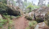 Tocht Stappen Fontainebleau - Fontainebleau Circuit PR Sentier Denecourt 5 - Photo 14