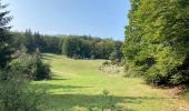 Trail Walking Saint-Agnan-en-Vercors - Col de soulier - Photo 1