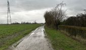 Tocht Stappen Erkegem-aan-de-Leie - Erquinghen-Lys inondations 12 km - Photo 3