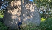 Percorso Marcia Penmarc'h - Menhir de la vierge - Photo 3