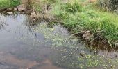 Randonnée Marche Le Cannet-des-Maures - lac des escarcets - Photo 20