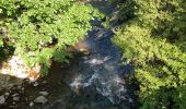 Tour Wandern Cornus - Cornus caumartin - Photo 11