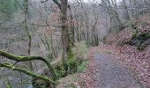 Trail Walking Stoumont - stpumont - froudcour aller via sentier corniche retour le long de l ambleve - Photo 17